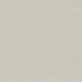 Cloud Leather (NO54)*