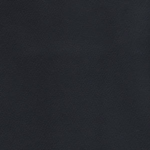 Patriot Plus Black*