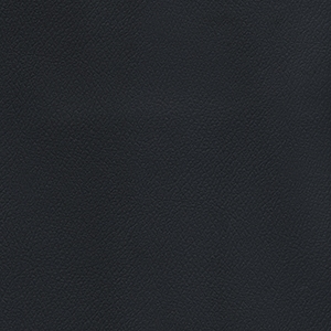 Patriot Plus Black*