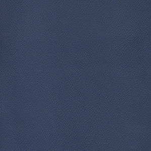 Patriot Plus Imperial Blue*