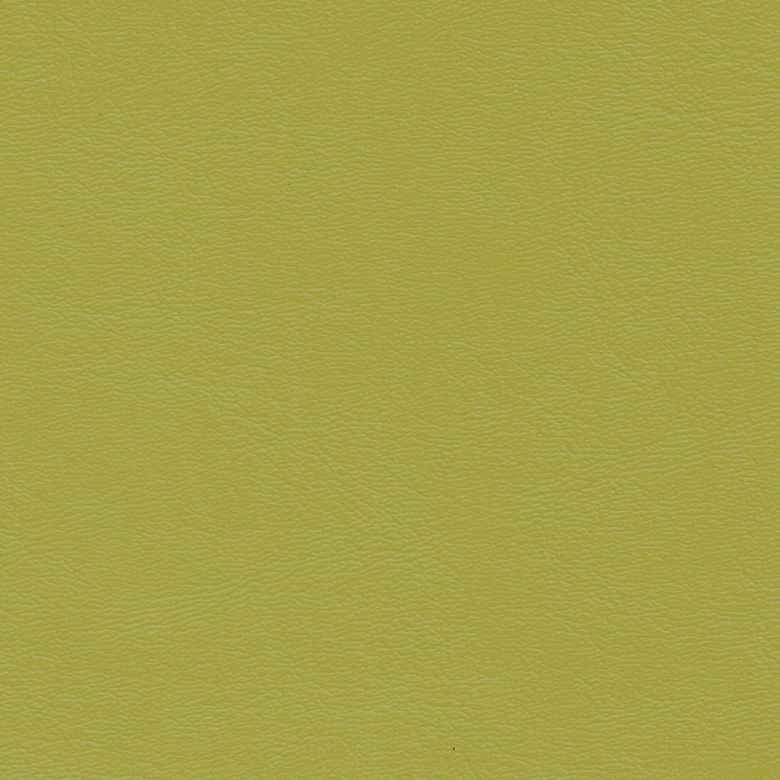 Apple (BM21)*