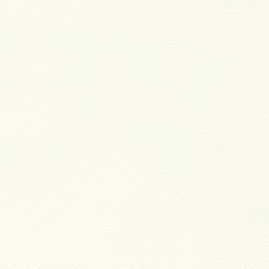 Bright White (A02F)*