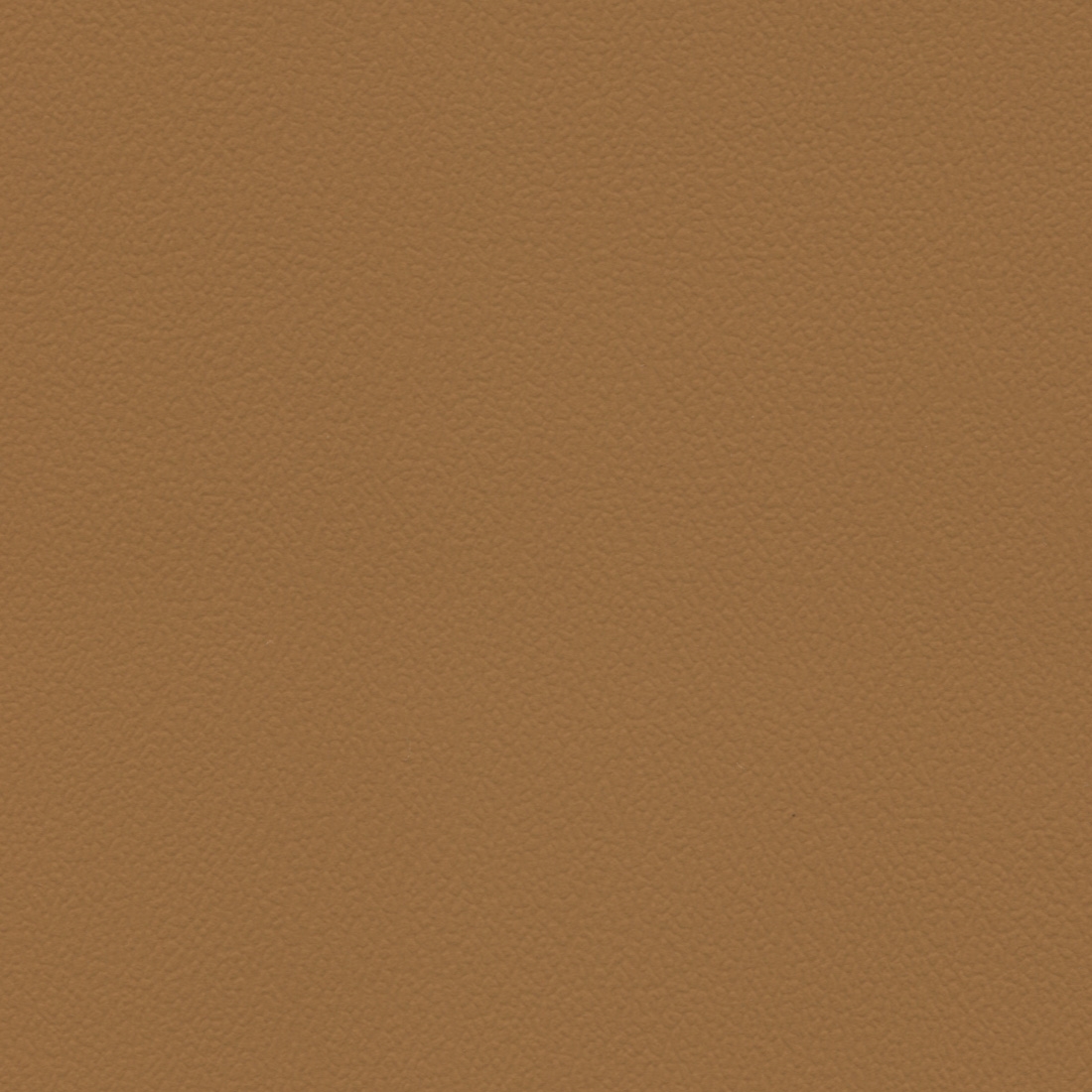 Cookie (A10F)*