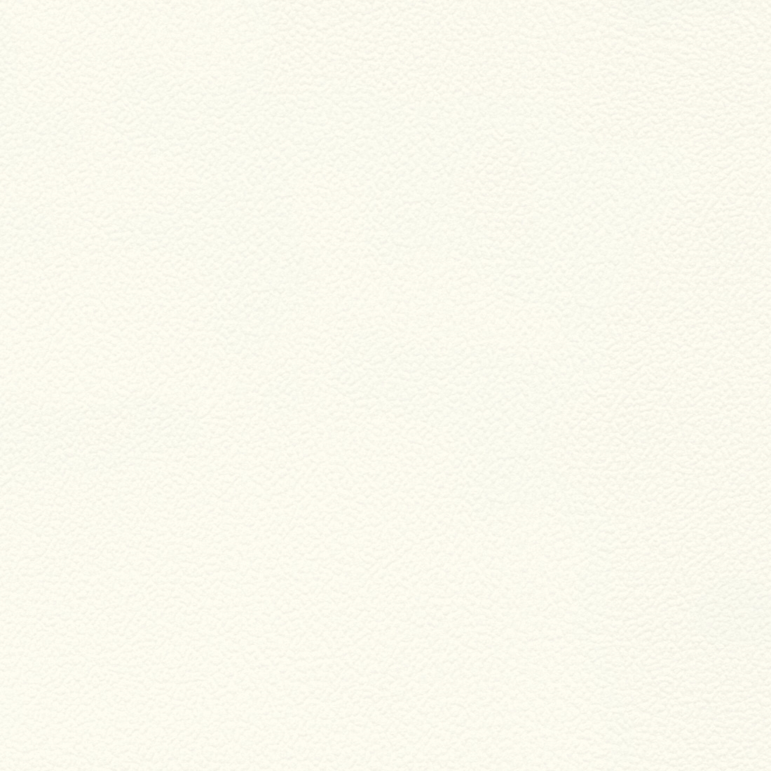 Bright White (A02F)*