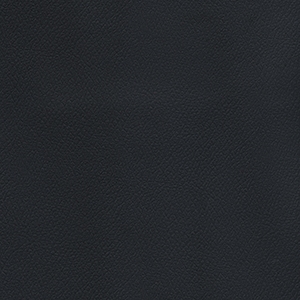 Patriot Plus Black*