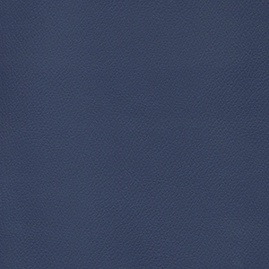 Patriot Plus Imperial Blue*