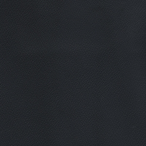 Patriot Plus Black*