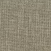 Archetype Silt