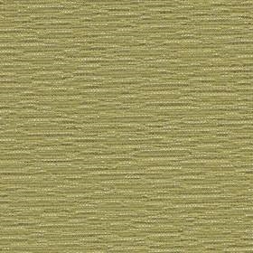 Imprint Celery (IM78)*