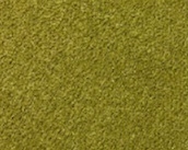 Moss