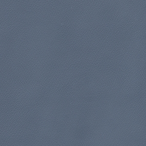 Patriot Plus Blue Ridge*