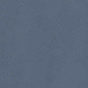 Patriot Plus Blue Ridge*
