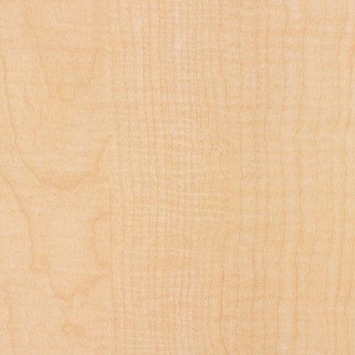 Fusion Maple*