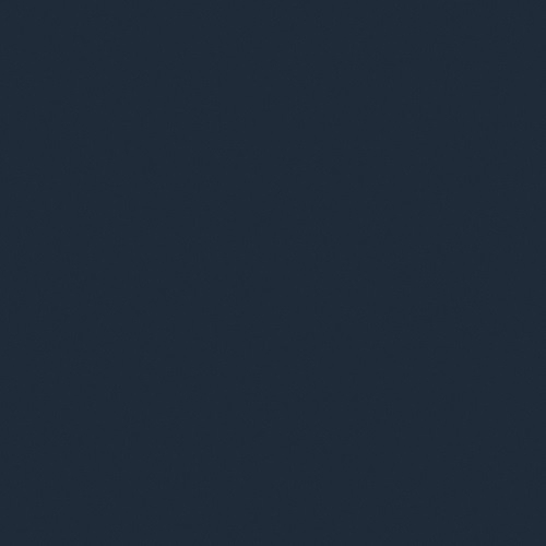 Navy*