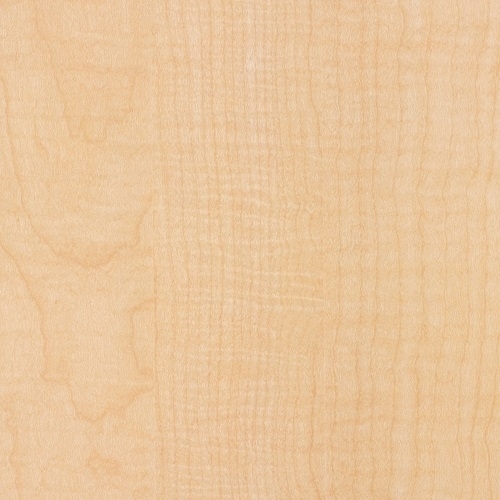 Fusion Maple*