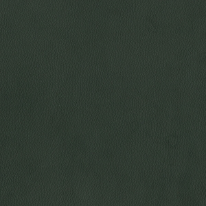 Dillon Black Polyurethane*