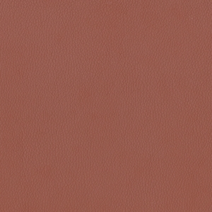 Dillon Cordovan Polyurethane*