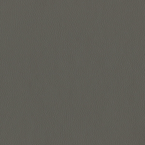 Dillon Graphite Polyurethane*