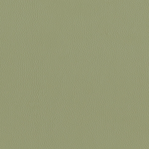 Dillon Sage Polyurethane*