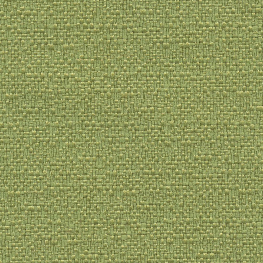 Moss