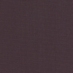 Eggplant