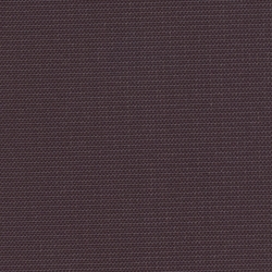 Eggplant