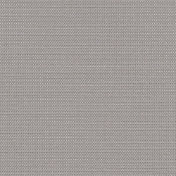 SIlver Grey