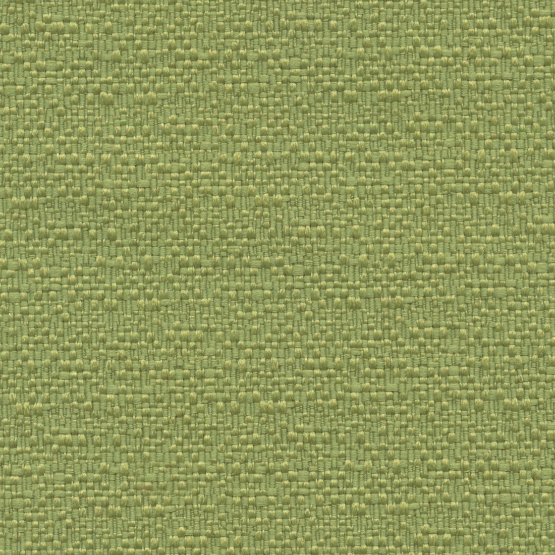 Moss