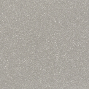 Silver*