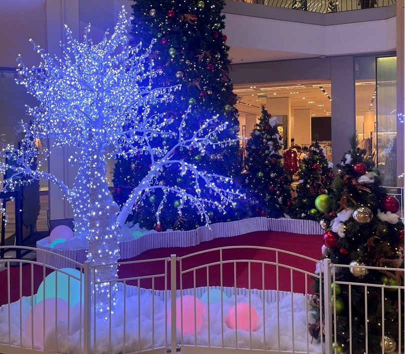 The Holiday Season is in Full Swing