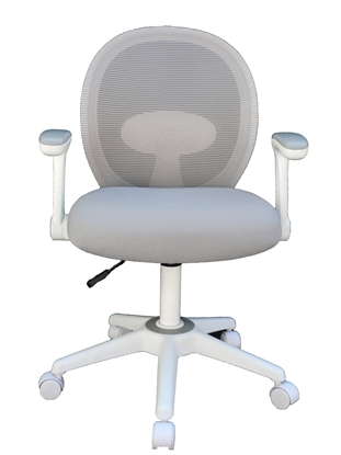 Picture of Grey Mesh Flip Arm Task Chair w/ White Frame B676WT-GY