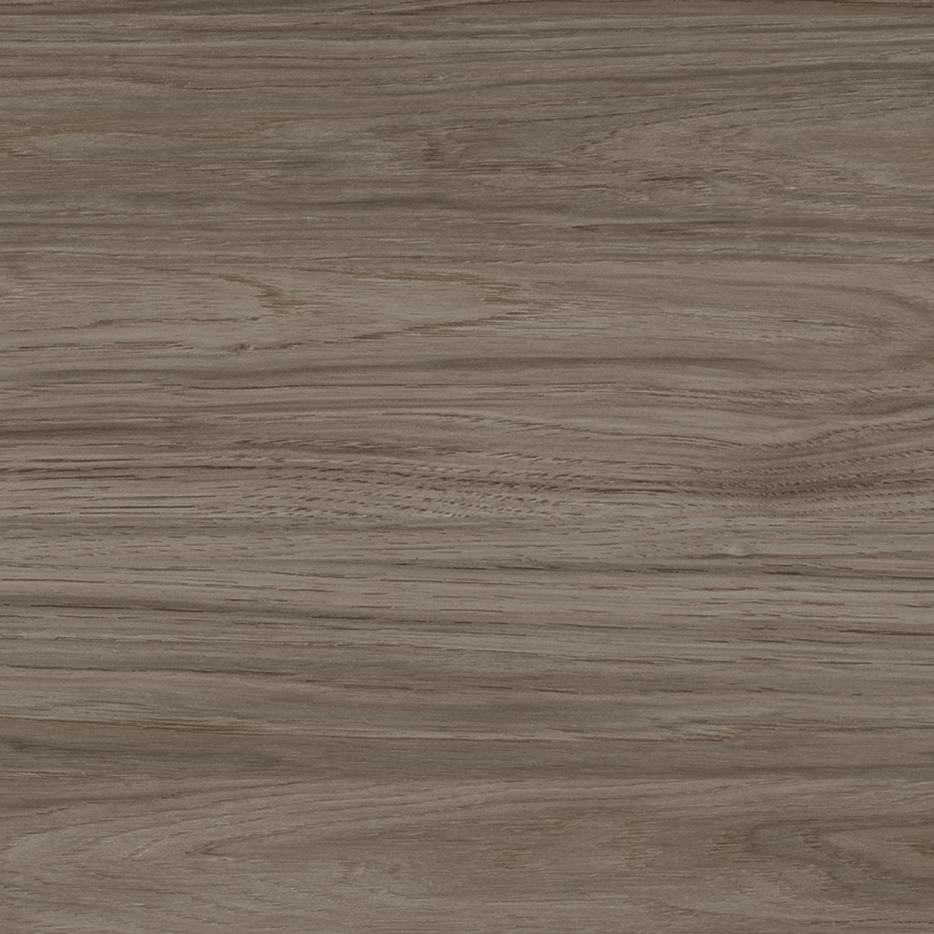 Modern Hickory