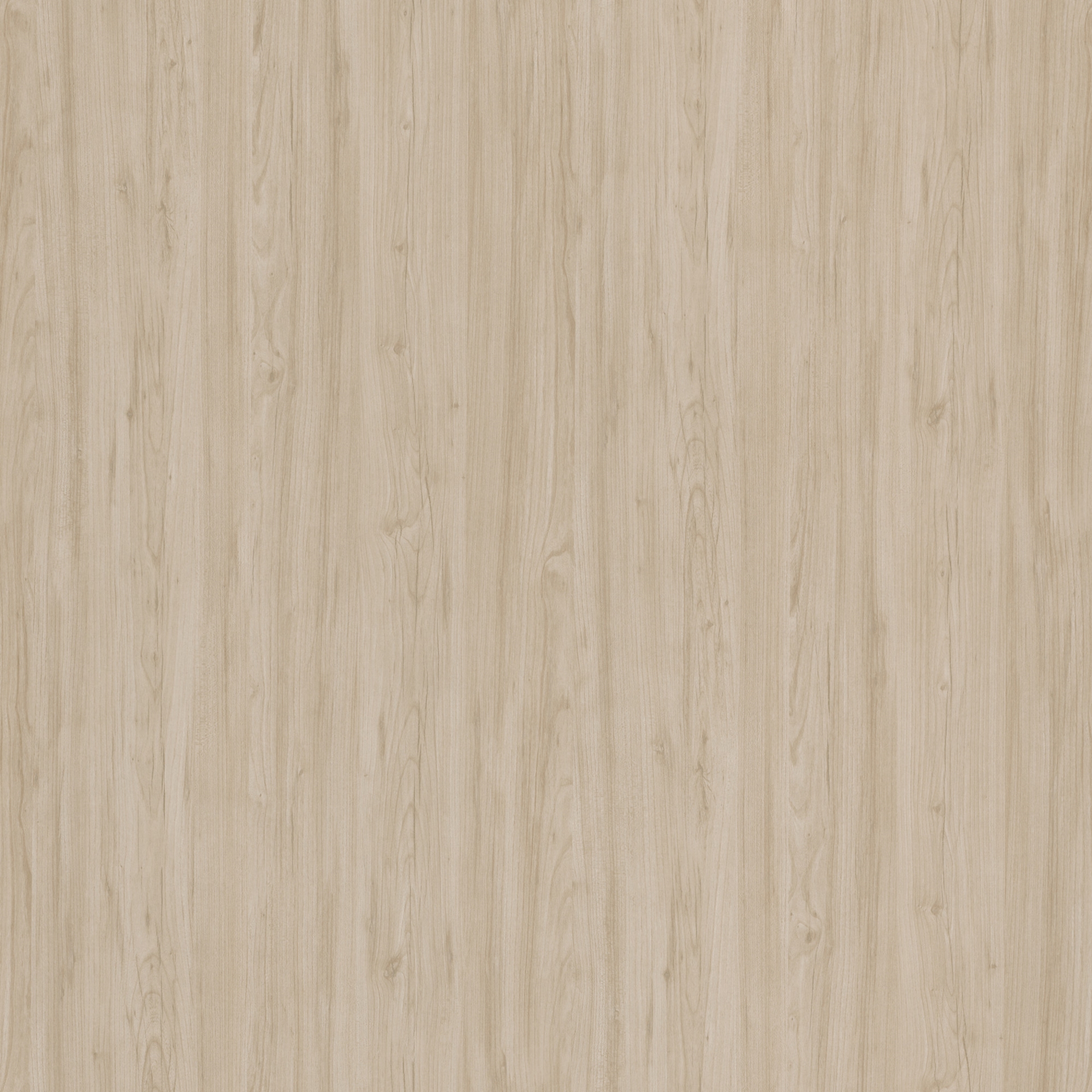 Natural Elm
