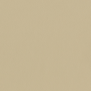 Dillon Bluff Polyurethane*