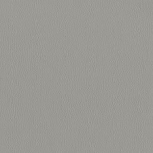 Dillon Lucid Polyurethane*