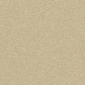 Dillon Bluff Polyurethane*