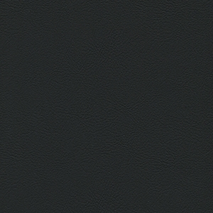 Modena Black Vinyl*