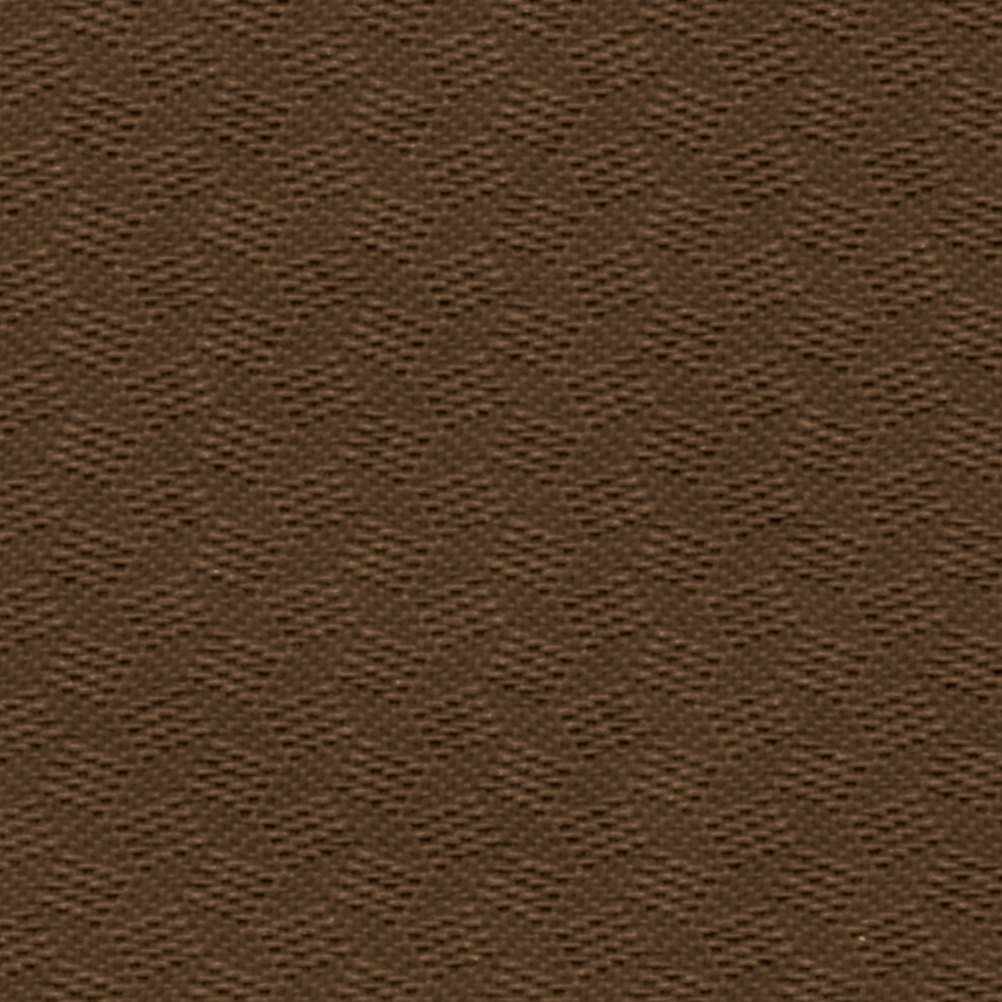 Cocoa (QL29)*