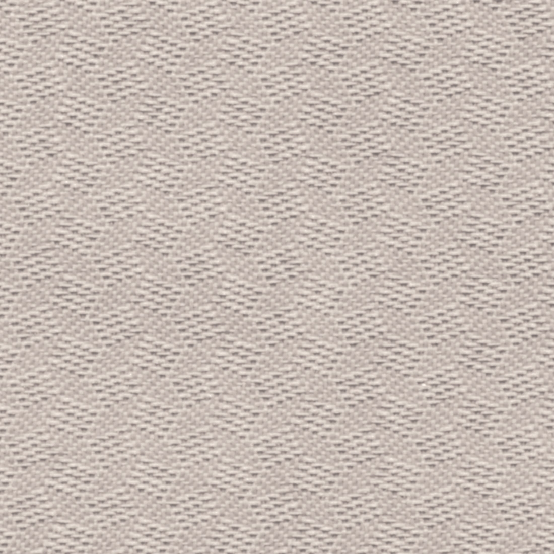Feather (QL20)*