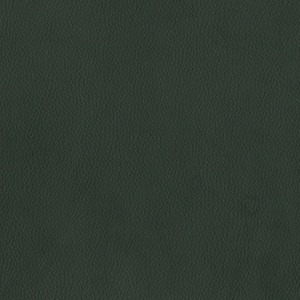 Dillon  Black Polyurethane*