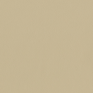 Dillon Buff Polyurethane*