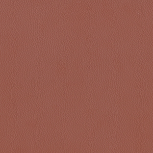 Dillon Cordovan Polyurethane*