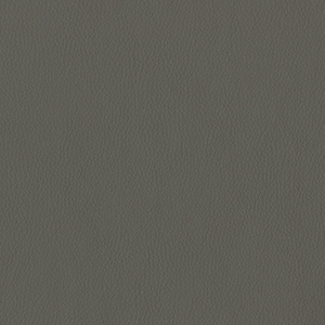 Dillon Graphite Polyurethane*