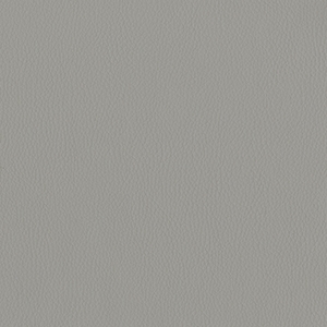 Dillon Lucid Polyurethane*
