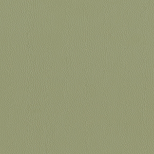 Dillon Sage Polyurethane*