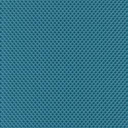 Pool Blue (DPB)*