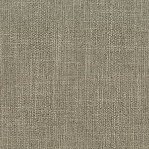 Archetype Silt*