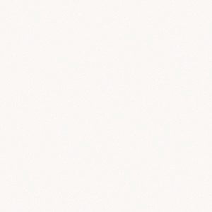 Artic White* [+$100.00]