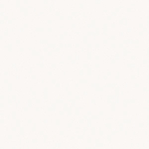 Artic White* [+$100.00]