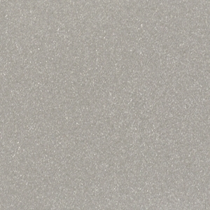 Silver*